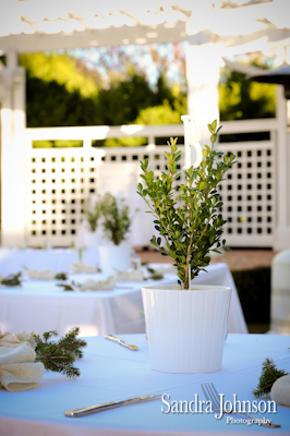 Best Cypress Grove Park Wedding photographer - Sandra Johnson (SJFoto.com)